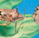 Predatory shield bugs feed on LBAM and grapevine moth caterpillars